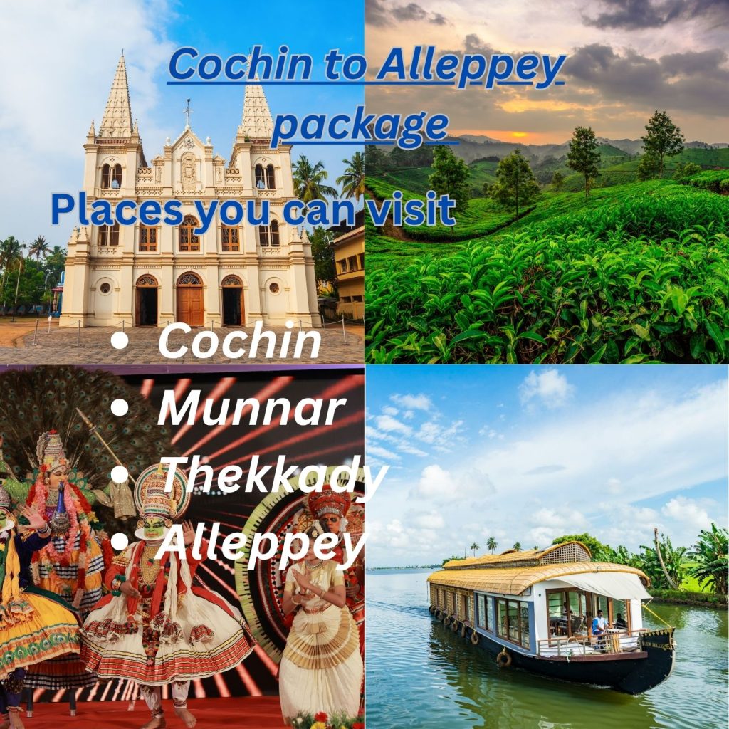 cochin to alleppey